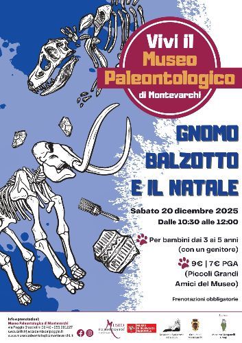 GNOMO BALZOTTO E IL NATALE 